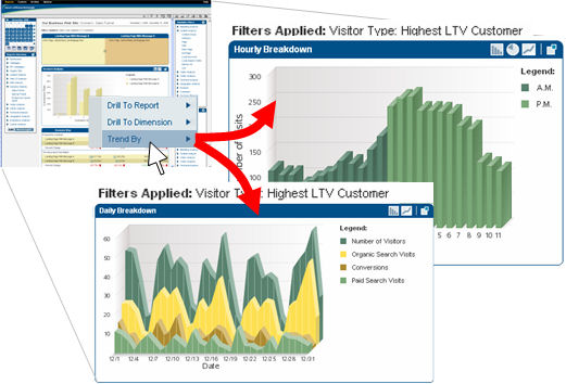 Affinium NetInsight Ad Hoc Analysis