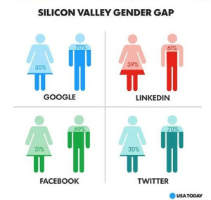 Silicon Valley Gender Gap