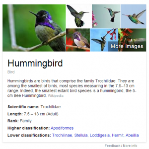 knowledge graph example of hummingbird