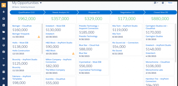 Lightning Experience Opportunities view