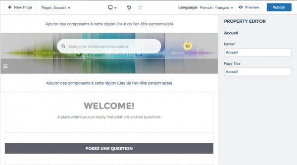 Napili Template Welcome Page in French