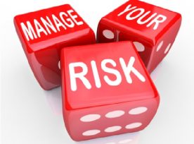 Dice with words on the faces, reading "Manage Your Risk"