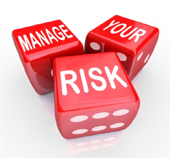 Dice with words on the faces, reading "Manage Your Risk"