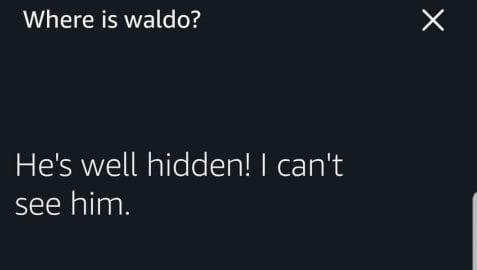 Alexa Returned a Joke to Where is Waldo Screenshot
