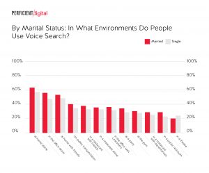 voice usage by status