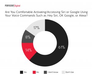 accessing through voice commands