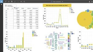 IBM Planning Analytics Dashboard