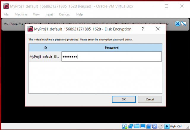 screenshot of the Virtualbox password entry form