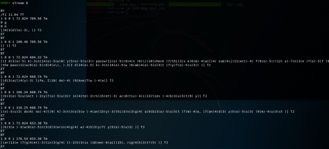 screenshot of command line peepdf