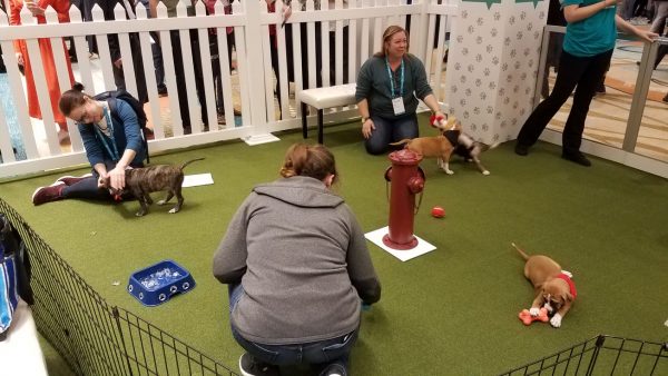 puppy pen