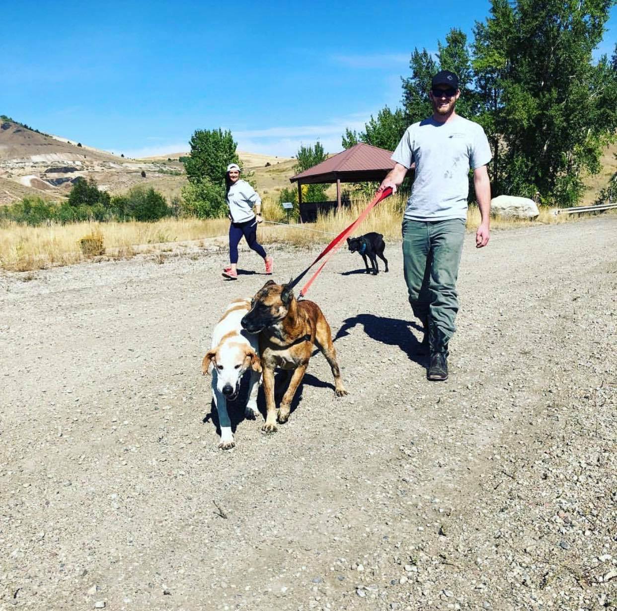 One Paw at a Time: Making a Difference at a Montana Animal Shelter