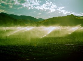 Late Afternoon Toned Photo Of California Farm With Irrigation