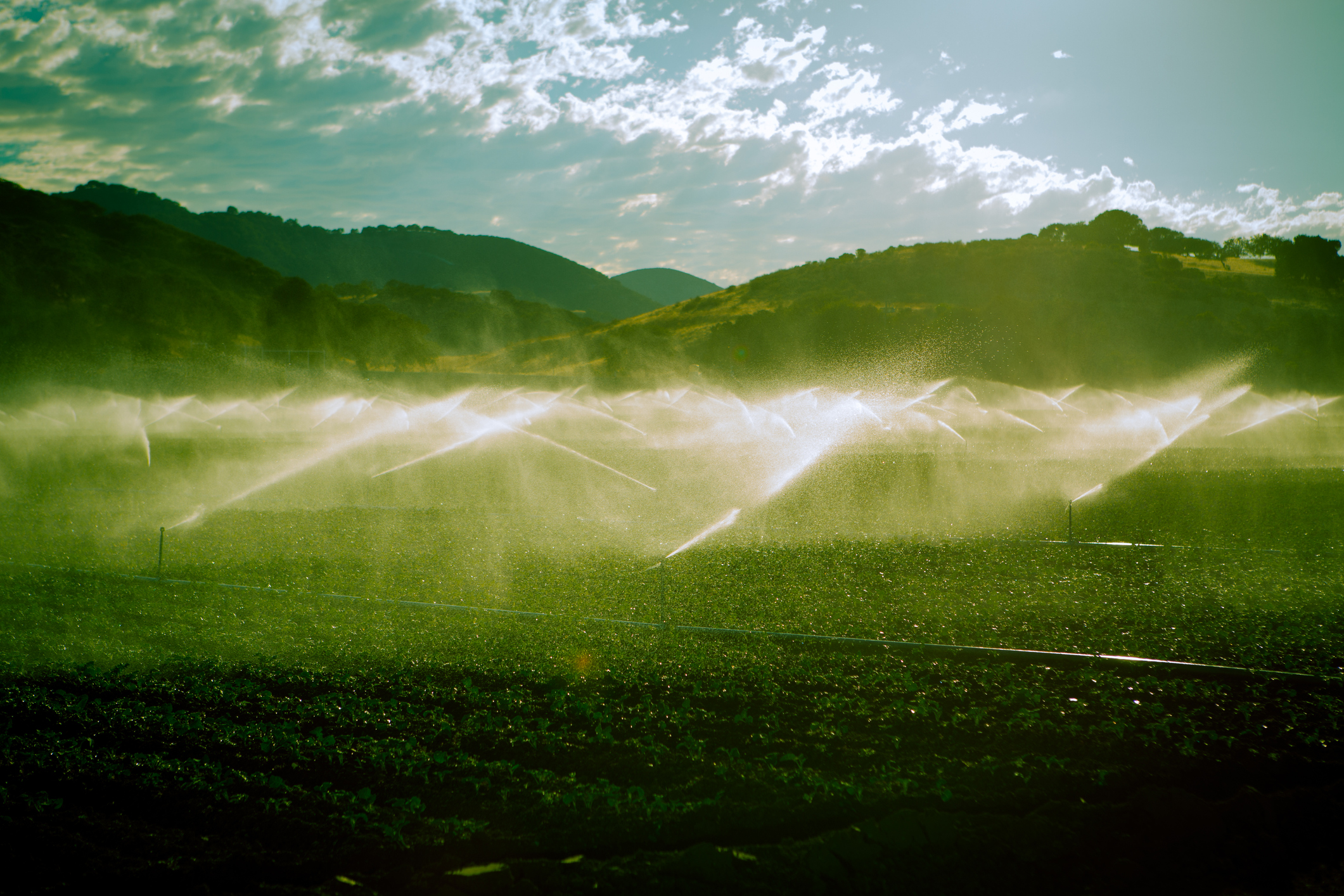 Late Afternoon Toned Photo Of California Farm With Irrigation