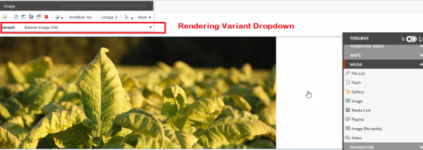 Rendering Variant Dropdown