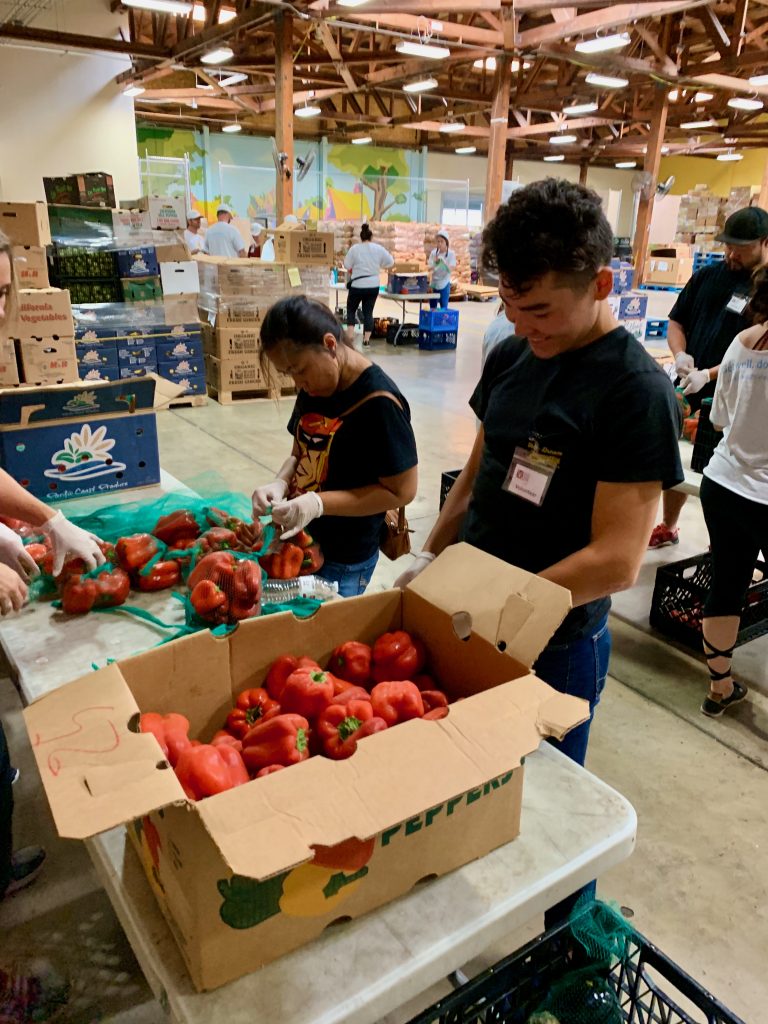 Perficient team members packing food