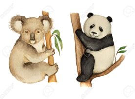 Watercolor Koala And Panda Sitting On The Tree.