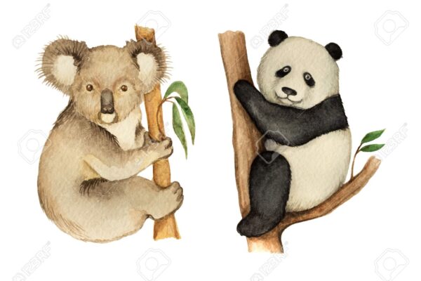 Watercolor Koala And Panda Sitting On The Tree.