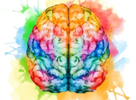 Watercolor of human brain