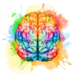 Watercolor of human brain