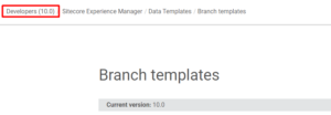 Sitecore Branch Templates Documentation