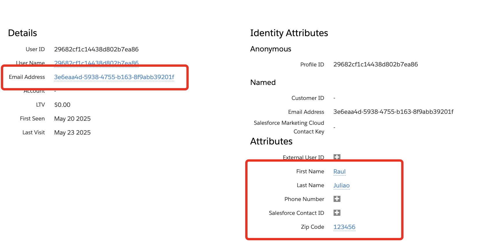 Customer Profile View pointing the newly set attributes