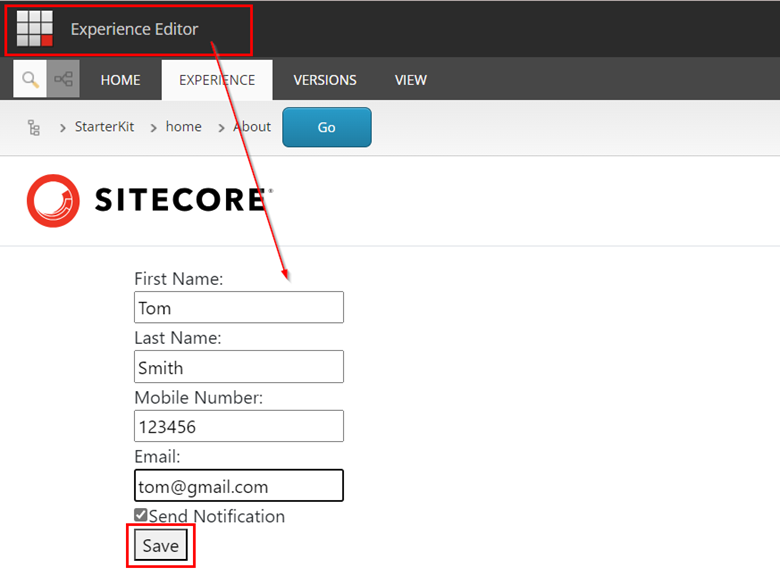 Fig 10 Sitecore Experience Editor Form Submission Page View