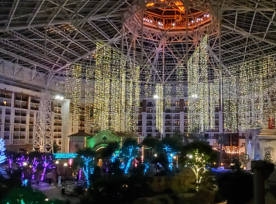 Gaylord Texan