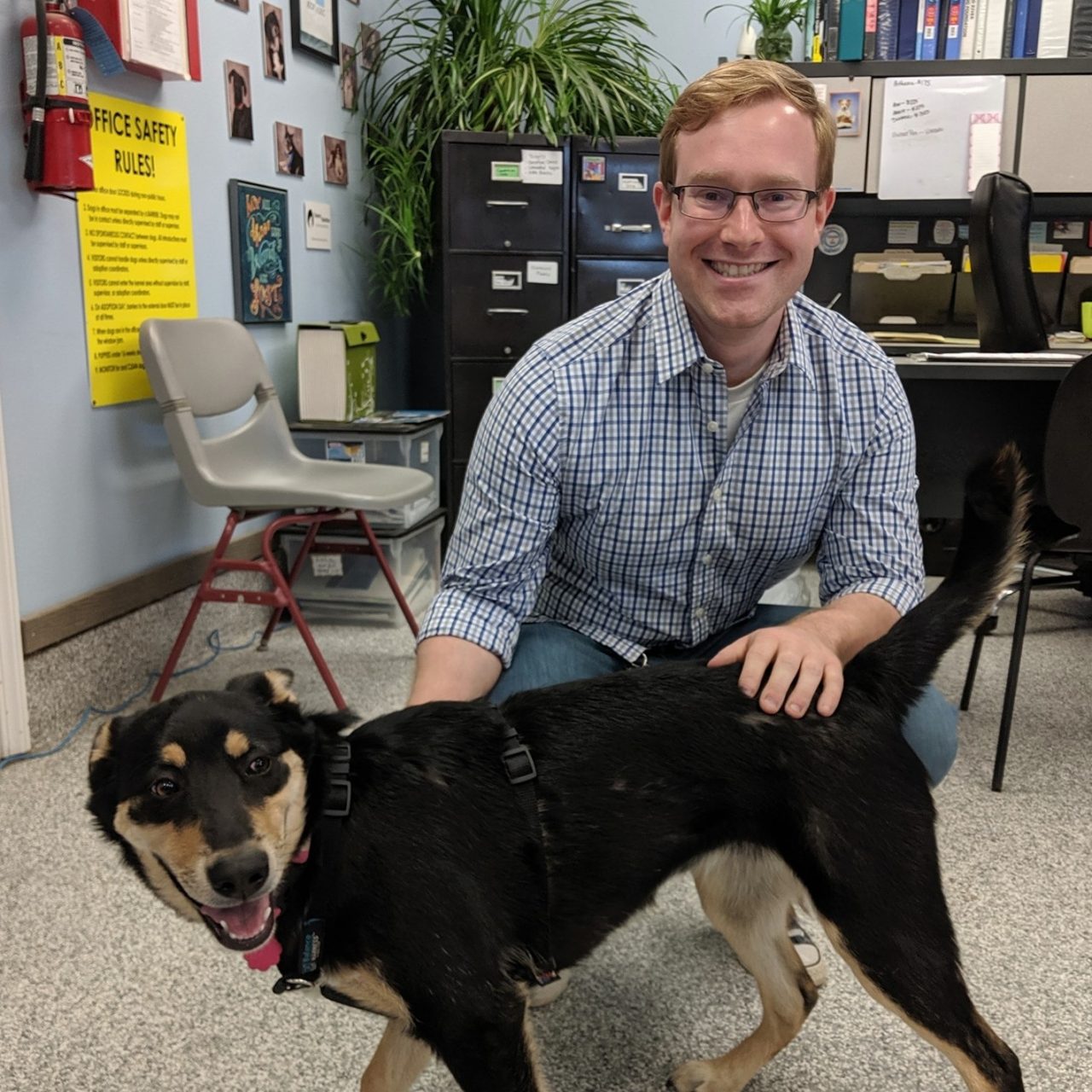 Perficient Colleague Transforms No-Kill Animal Shelter with Technology ...