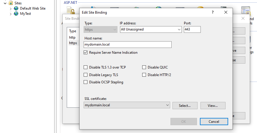 Screenshot of how to bind HTTPS to a site in IIS Manager