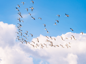 Migrating To AEM as a Cloud Service