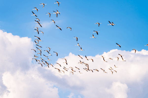 Migrating To AEM as a Cloud Service