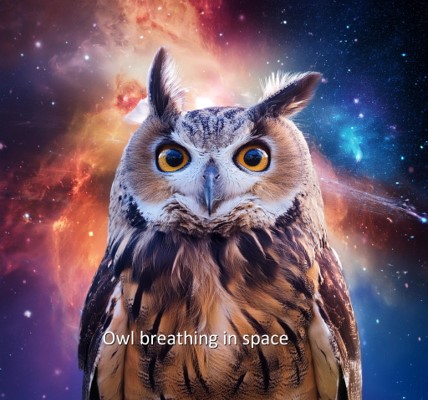 Owl Breathing In Space