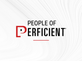 People Of Perficient 1