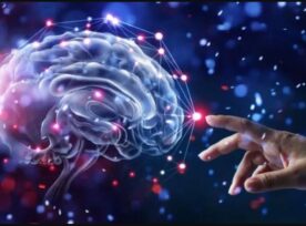 Brain Rewiring