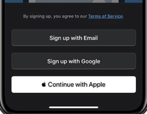 sign in with apple ux