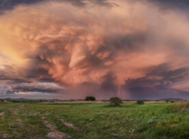 Supercell