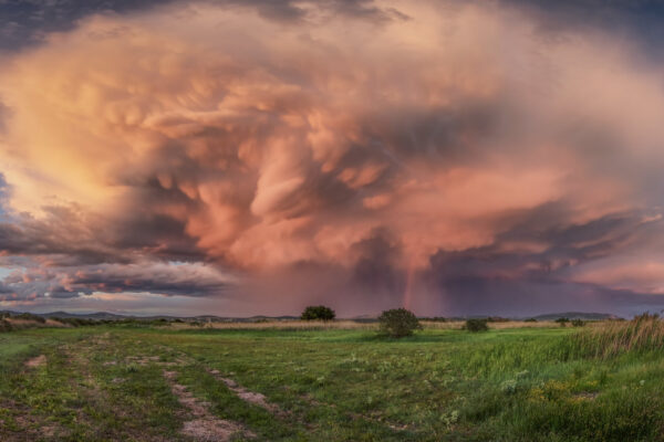 Supercell