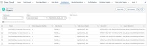 Search DMO in Data Cloud