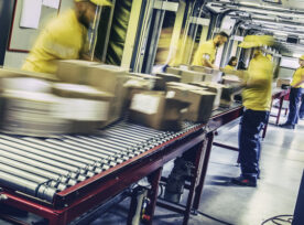 Postal Workers Inspecting Packages On A Conveyor Belt