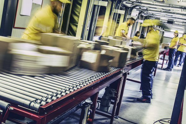 Postal Workers Inspecting Packages On A Conveyor Belt