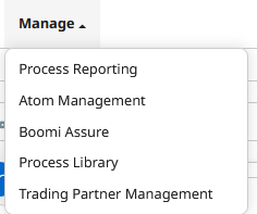 Boomi Api Management 01