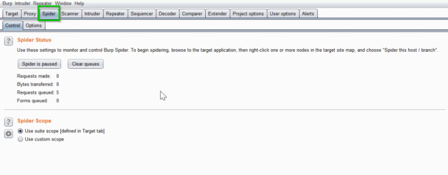 Burpsuite Spider 1