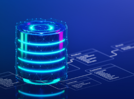 Dm Top Database Challenges