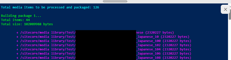 Export Media Items - Console Output