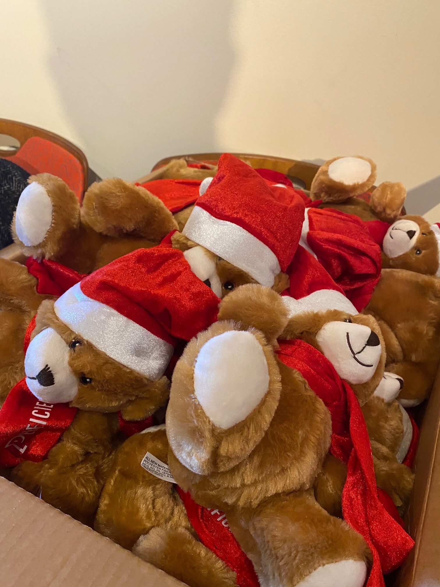 Cardinal Glennon bears 1