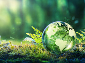 Environment Concept Globe Glass In Green Forest With Sunlight