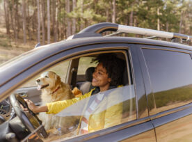 A woman driving in a car with her dog