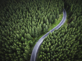 Aerial View Of The Mountain Road In A Green Forest
