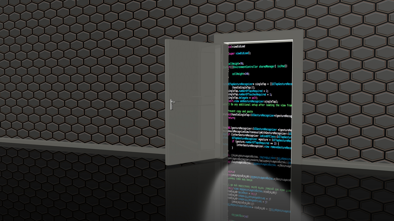 Healthcare’s Digital Back Door One Term, Two Meanings and How (or