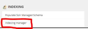Indexingmanager